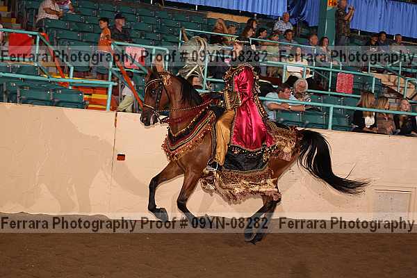 Proof 09yn-08282