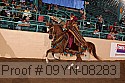 09yn-08283 proof