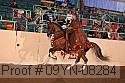 09yn-08284 proof