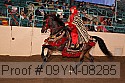 09yn-08285 proof