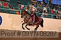 09yn-08287 proof