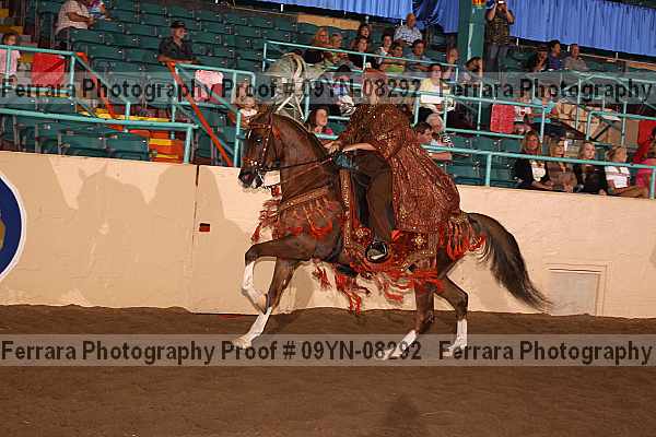 Proof 09yn-08292