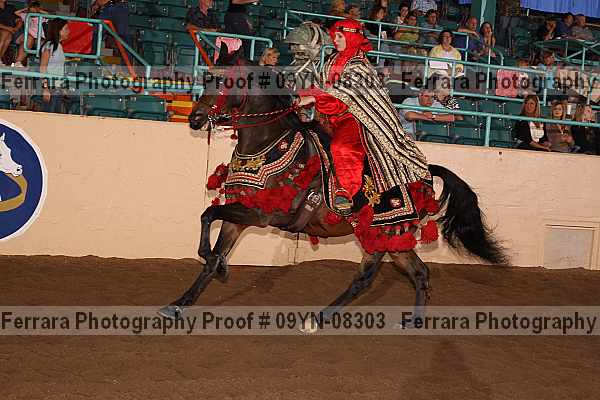 Proof 09yn-08303