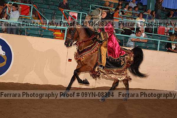 Proof 09yn-08304