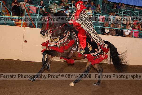Proof 09yn-08308