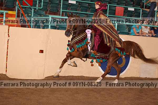 Proof 09yn-08325