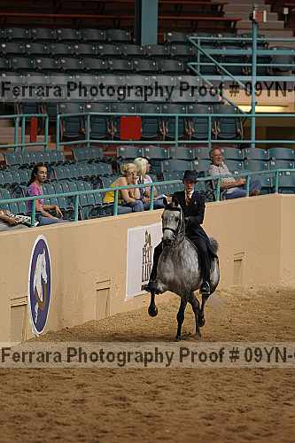 Proof 09yn-08329