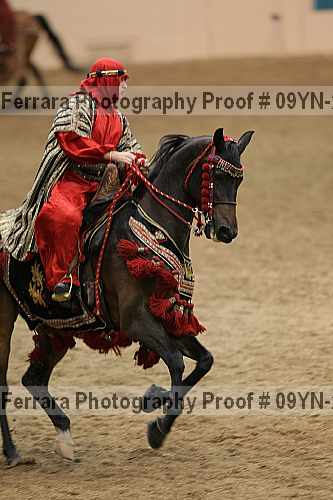 Proof 09yn-20601