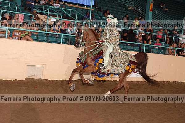 Proof 09yn-20603