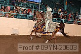 09yn-20603 proof