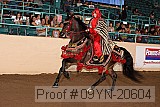 09yn-20604 proof