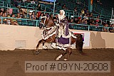 09yn-20608 proof