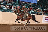 09yn-20609 proof