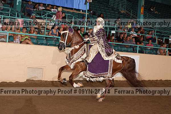 Proof 09yn-20614