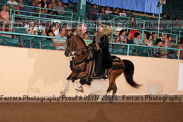 Proof 09yn-20615