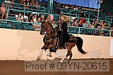 09yn-20615 proof