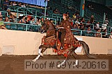 09yn-20616 proof