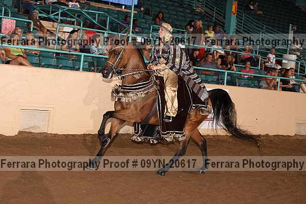 Proof 09yn-20617