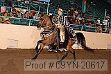 09yn-20617 proof