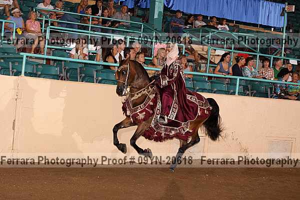 Proof 09yn-20618