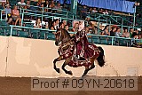 09yn-20618 proof