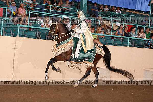 Proof 09yn-20619