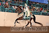 09yn-20619 proof