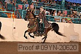 09yn-20620 proof