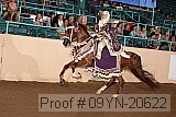 09yn-20622 proof