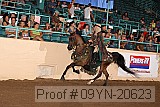 09yn-20623 proof