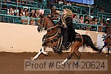 09yn-20624 proof
