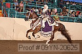 09yn-20625 proof