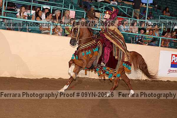 Proof 09yn-20626