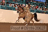 09yn-20627 proof