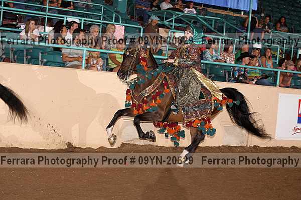 Proof 09yn-20629
