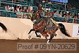 09yn-20629 proof