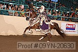 09yn-20630 proof