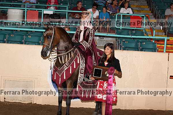 Proof 09yn-20638