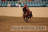 09yn-20641 proof