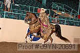 09yn-20691 proof