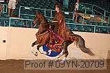 09yn-20709 proof