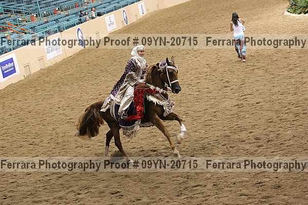 Proof 09yn-20715