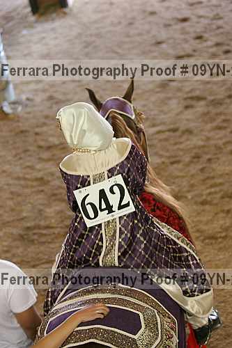 Proof 09yn-20720