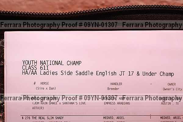Proof 09yn-01307