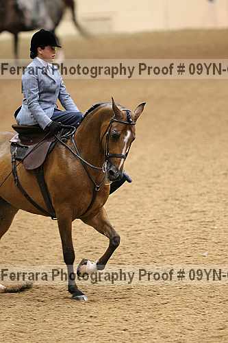 Proof 09yn-01312
