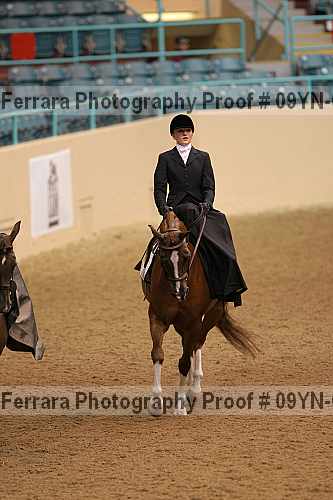 Proof 09yn-01313