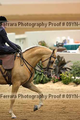 Proof 09yn-01320