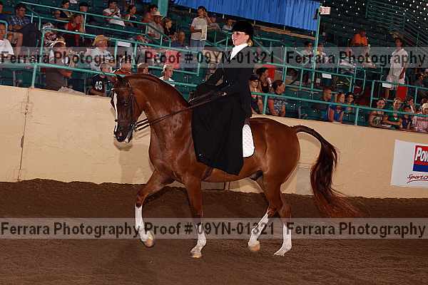 Proof 09yn-01321