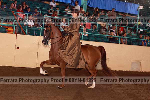 Proof 09yn-01322