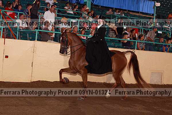 Proof 09yn-01324